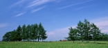 CK022.JPG